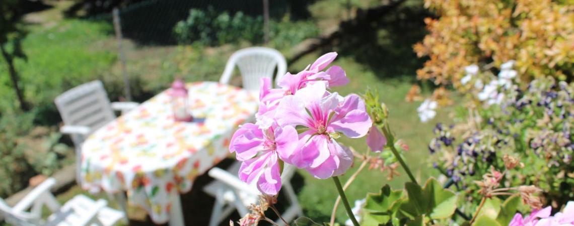 B&B Via Roma Cesate Extérieur photo